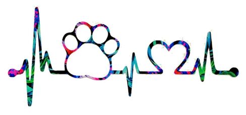 Pawprint Heartbeat Decal Sticker - Vet - Dog - Cat - Car Window, Laptop Tumbler Water Bottle Bumper - You Choose Size and Color in Kuwait