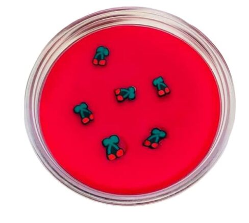 Wild Cherry Soy Wax Melts, Wax Melts, Wax Pots, Wax Tarts, Highly Scented Wax Melts, Soy Candles, Fruity Wax Melts, Fruit Wax Tart, Summer in Saudi Arabia