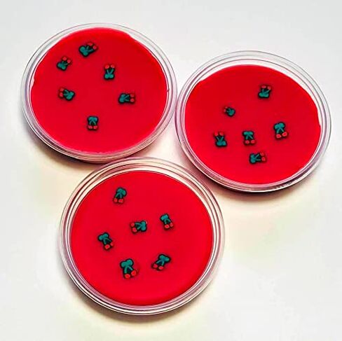 Wild Cherry Soy Wax Melts, Wax Melts, Wax Pots, Wax Tarts, Highly Scented Wax Melts, Soy Candles, Fruity Wax Melts, Fruit Wax Tart, Summer in Saudi Arabia