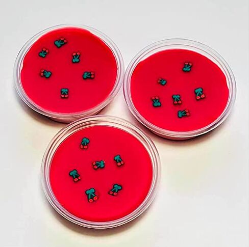 Wild Cherry Soy Wax Melts, Wax Melts, Wax Pots, Wax Tarts, Highly Scented Wax Melts, Soy Candles, Fruity Wax Melts, Fruit Wax Tart, Summer in Saudi Arabia