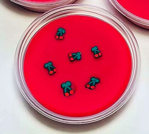 Wild Cherry Soy Wax Melts, Wax Melts, Wax Pots, Wax Tarts, Highly Scented Wax Melts, Soy Candles, Fruity Wax Melts, Fruit Wax Tart, Summer in Saudi Arabia