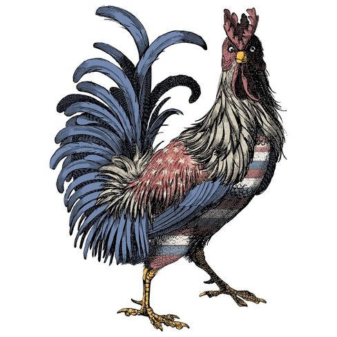 American Flag Rooster Ready to Press Sublimation Transfer, Ready to Use, Adult/Kid Shirt Size, Sub Image Ready to Press, DIY Sublimation in Saudi Arabia