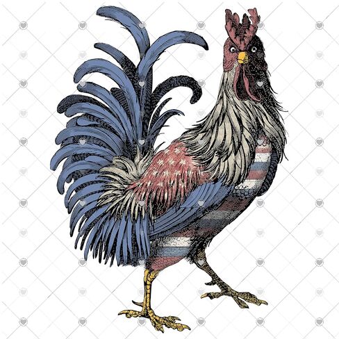 American Flag Rooster Ready to Press Sublimation Transfer, Ready to Use, Adult/Kid Shirt Size, Sub Image Ready to Press, DIY Sublimation in Saudi Arabia