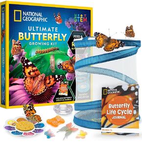 National Geographic Light-Up Ant Habitat Kit for Kids with Magnifiers in Kuwait