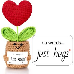 Sympathy Gifts for Loss of Loved One, Bereavement Gift, No Words Just Hugs in Kuwait