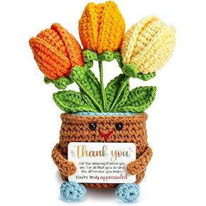 Thank You Gifts for Women Appreciation Retirement Tulip Gift for Coworker in Kuwait