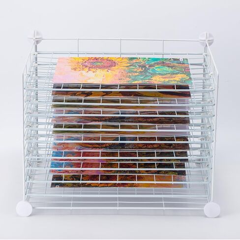 FDSDEFEN Art Drying Rack Removable Shelves ，Wall Art Drying Rack，Art Organizer for Kids, Art Studio and Tabletop Storage, Craft Room and Desktop (10 Shelves) in Saudi Arabia