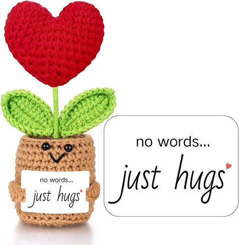 Sympathy Gifts for Loss of Loved One, Bereavement Gift, No Words Just Hugs in Kuwait