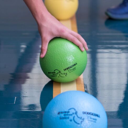 مجموعة Dodgeball Skin Skin Sports-6 كرات الرغوة الناعمة مع طلاء مقاوم للدموع ، سطح قبضة ، ارتداد منخفض ، حقيبة شبكية ، ملعب داخلي وخارجي أو مجموعة كرة من فئة PE-6 "أو 7" in Kuwait