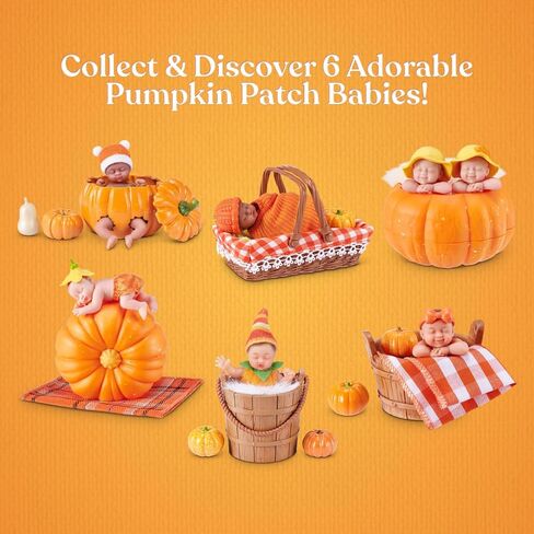 My Mini Pumpkin Patch Series 1 By ZURU in Kuwait