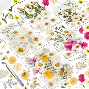 140 Pcs Dried Pressed Flowers for Resin, Real Pressed Flowers Dry Leaves Bulk Natural Herbs Kit for Scrapbooking DIY Art Crafts, Epoxy Resin Jewelry Molds, Candle, Soap Making, Nails Décor in Saudi Arabia