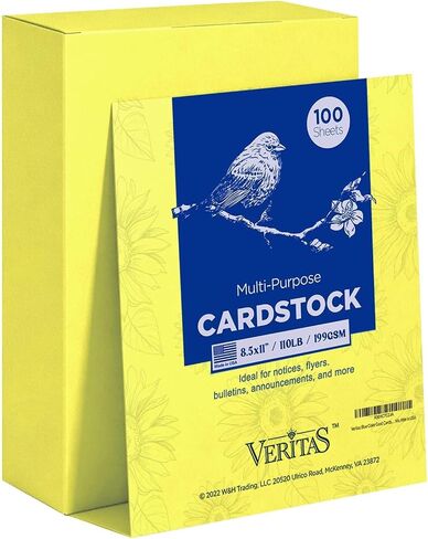 Cardstock 8.5 x 11", 110LB Index/199GSM Heavyweight Card Stock, 100 Sheets, Thick Cardstock Printer Paper for Copy, Printing, Art Projects, Invitations, Made In USA in Kuwait