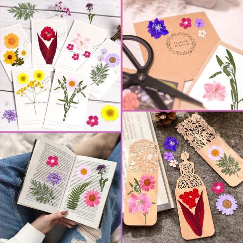 140 Pcs Dried Pressed Flowers for Resin, Real Pressed Flowers Dry Leaves Bulk Natural Herbs Kit for Scrapbooking DIY Art Crafts, Epoxy Resin Jewelry Molds, Candle, Soap Making, Nails Décor in Kuwait