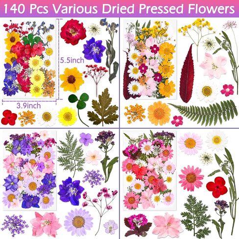 140 Pcs Dried Pressed Flowers for Resin, Real Pressed Flowers Dry Leaves Bulk Natural Herbs Kit for Scrapbooking DIY Art Crafts, Epoxy Resin Jewelry Molds, Candle, Soap Making, Nails Décor in Kuwait