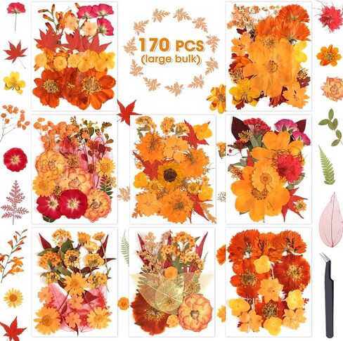 140 Pcs Dried Pressed Flowers for Resin, Real Pressed Flowers Dry Leaves Bulk Natural Herbs Kit for Scrapbooking DIY Art Crafts, Epoxy Resin Jewelry Molds, Candle, Soap Making, Nails Décor in Kuwait
