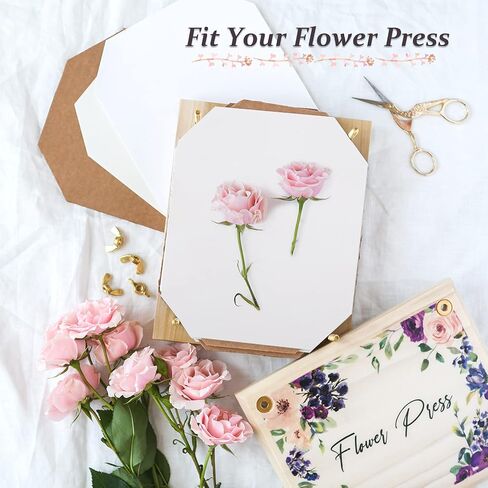 Aboofx 20 Sheets Blotting Paper for Flower Press, Large 8.26 x 11.8 inch A4 Highly Absorbent and Reusable Blotter Papers for Flower Press Herbarium Craft Blotter Paper Sheets Papers Craft Supplies in Kuwait