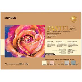MUNGYO Professional Pastel Paper Pad A4 Size for Oil Pastel, Dry Pastel 30 Sheets (Soft Assorted) in Saudi Arabia