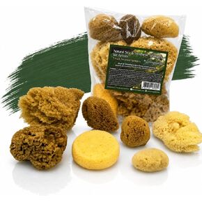 Natural Sea Sponges 10pk for Artists, 2"-4" Unbleached, Painting & Crafts in Kuwait