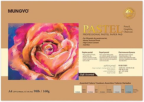MUNGYO Professional Pastel Paper Pad A4 Size for Oil Pastel, Dry Pastel 30 Sheets (Soft Assorted) in Saudi Arabia