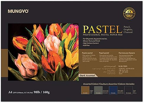 MUNGYO Professional Pastel Paper Pad A4 Size for Oil Pastel, Dry Pastel 30 Sheets (Dark Assorted) in Saudi Arabia
