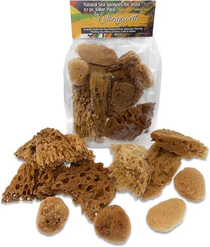 Natural Sea Sponges 10pk for Artists, 2"-4" Unbleached, Painting & Crafts in Kuwait
