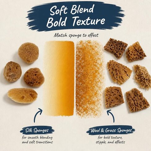 Natural Sea Sponges 10pk for Artists, 2"-4" Unbleached, Painting & Crafts in Kuwait