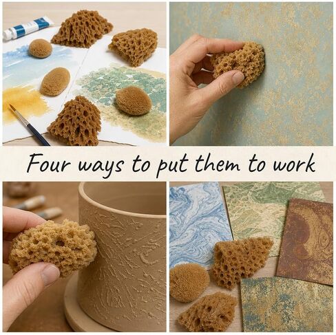 Natural Sea Sponges 10pk for Artists, 2"-4" Unbleached, Painting & Crafts in Kuwait