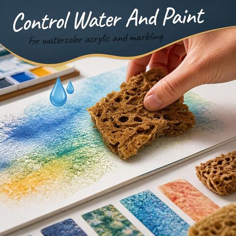 Natural Sea Sponges 10pk for Artists, 2"-4" Unbleached, Painting & Crafts in Kuwait