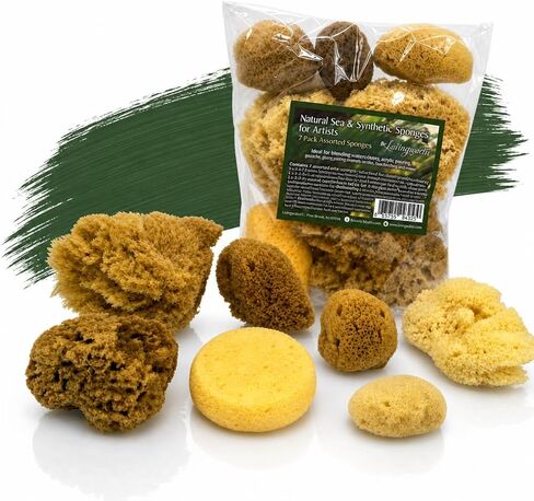 Natural Sea Sponges 10pk for Artists, 2"-4" Unbleached, Painting & Crafts in Kuwait