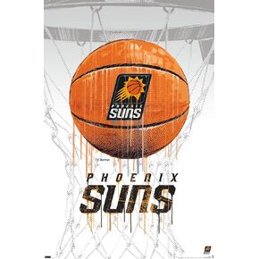 Trends International NBA Phoenix Suns - Drip Basketball 21 Wall Poster, 14.725" x 22.375", Barnwood Framed Version