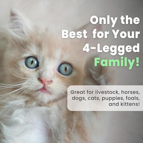 Best Shot One Shot Whitening Shampoo, Coat and Skincare Product for Dog, Cat, and Horse, Brightens Any Color Coat, Removes Stains, 1 Gallon in Kuwait