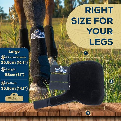 حذاء رياضي The Larch Horse - حماية مثالية وأقصى أداء للتمرين مع حصان المنافسة الخاص بك - ممتاز من مسابقة روديو - عبوة من قطعتين (متوسط) in Saudi Arabia