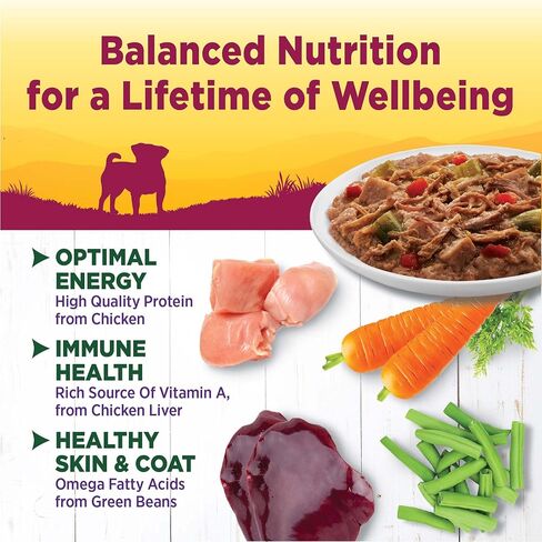 Wellness 3 Oz Grain Free Natural Wet Small Breed Roasted chicken, beef, green beans & Red Peppers. (12 Pack), One Size in Saudi Arabia