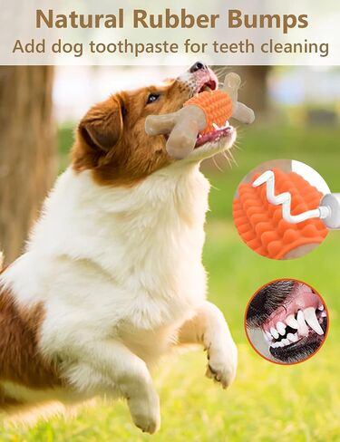 SCHITEC Dog Chew Toy for Aggressive Chewers, Tough Big Nylon & Rubber Teething Stick with Real Maple Wood Flavor for Large Medium Breed in Saudi Arabia