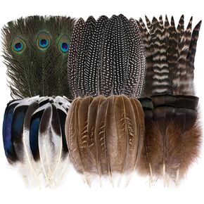 Holmgren Natural Feathers Bulk for Crafting, Hat Decoration, 48pcs 6 Styles in Kuwait