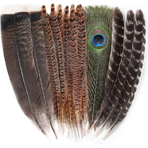 Ballinger Large Pheasant Bird Craft Feathers,8-12inch,4 Styles,15Pcs in Kuwait