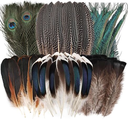FeelfunFeather 300 pcs Small Feathers - 10 Style Mixed Spotted Decorative Natual Pheasant Feather for DIY Crafts Clothing Jewelry Hair Decoration in Saudi Arabia