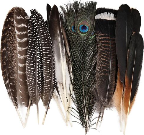 Natural Feathers Bulk - 55PCS - 6 Styles Assorted Natural Feathers, Peacock Feathers, Pheasant Feathers, Turkey Feathers for DIY Crafts, Wedding, Crafting Supplies in Saudi Arabia