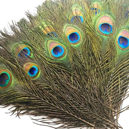 Piokio 50 Pcs Bulk Peacock Feathers, 10-12 inch in Kuwait