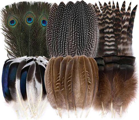 Holmgren Natural Feathers Bulk for Crafting, Hat Decoration, 48pcs 6 Styles in Kuwait