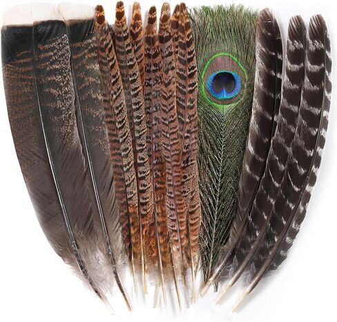 Ballinger Large Pheasant Bird Craft Feathers,8-12inch,4 Styles,15Pcs in Kuwait