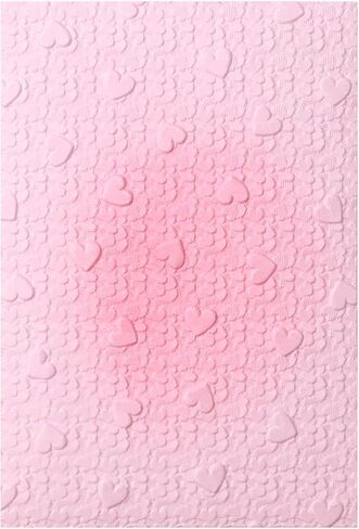 3D Embossing Folder for Card Making Texture Fades Blossom Bloom Floral Plastic Embossing Folder Template for DIY Scrapbooking Paper Crafting Handmade Crafts Scrapbooking Arts Supplies Scrapbook Decor in Kuwait