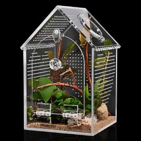 Cycodo Jumping Spider Enclosure,Warp-Proof Seamless Acrylic Tarantula Terrarium,Front Opening Bug Habitat with Feeding Port for Praying Mantis,Hermit Crabs,Snail,Micro Reptile(5" L*5" W*8" H) in Kuwait