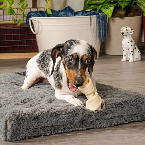 Pet Factory American Beefhide 4-5" Knotted Bones Dog Chew Treats - Natural Flavor, 22 Count/1 Pack in Kuwait