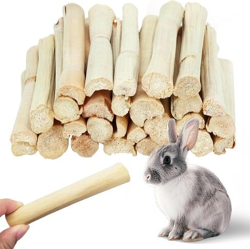 Jorewood 1 LB (16oz) Natural Apple Wood Chew Sticks for Rabbits, Hamsters, Chinchillas - Extra Hard Teeth Grinding Toy | Untreated, Safe & Long-Lasting Rodent Chews in Kuwait