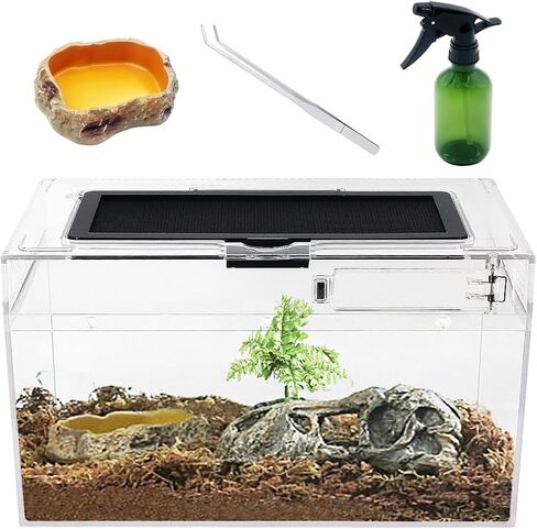 Mini Reptile Terrarium Set,11.8" x 7"x 6" Low Reptile Tank with Full View Visually Appealing，for Insect，Fish，Tarantula，Hermit Crab，Jumping Spider，Iguana，Tortoise，Leopard Gecko，Frog，Bearded Dragon in Saudi Arabia