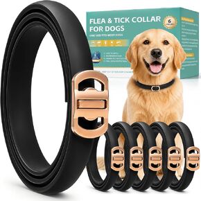 6 Packs Flea & Tick Collar for Dogs in Saudi Arabia