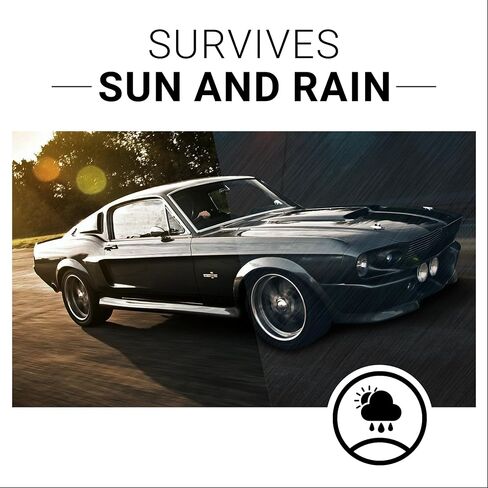CAR GUYS Plastic Restorer | Bring Plastic, Rubber, and Vinyl Back to Life! | User Friendly Trim Restorer | Safe Auto Detailing Supplies | 8 Oz Kit with Foam Applicator in Kuwait
