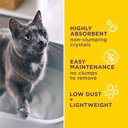 Purina Tidy Cats Care Alert Health Monitoring Litter, 8 lb in Kuwait
