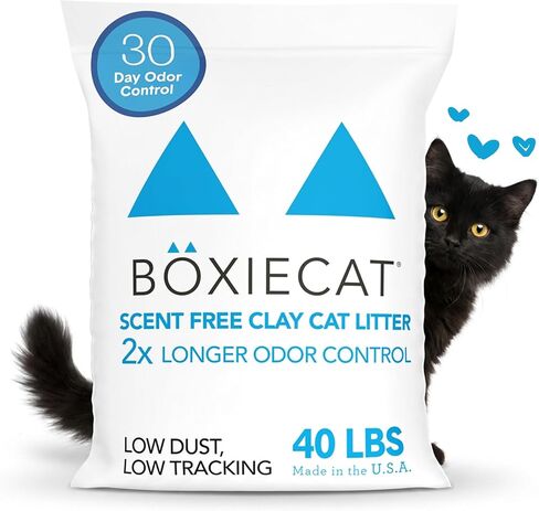 Boxie Premium Unscented Clumping Cat Litter 30+ Day Odor Control 16 lb in Kuwait